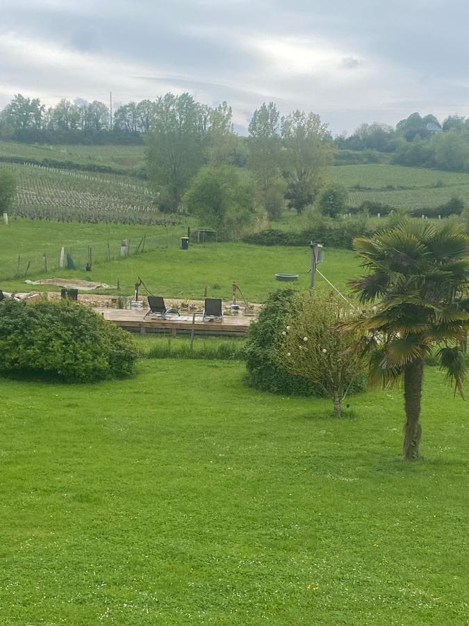 Suite Campagnarde Pres Bordeaux, Vue Sur Les Vignes Au Chateau Camponac Bourg-sur-Gironde Exterior photo
